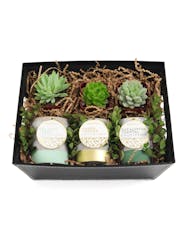 Candle + Succulent Planter Crate