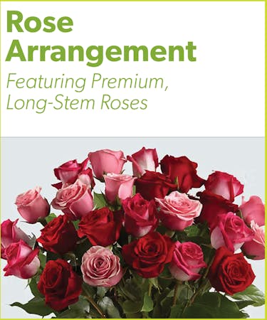 Rose Arrangement