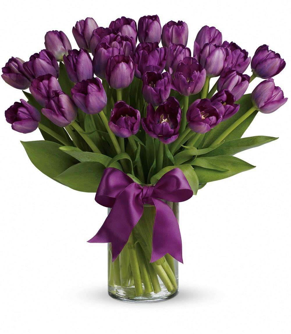 Purple Tulips San Diego Florist, Purple Tulips San Diego Florists