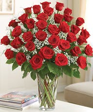 36 Red Roses Arranged with Babies Breath