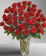 48 Red Roses Arranged With Babies Breath