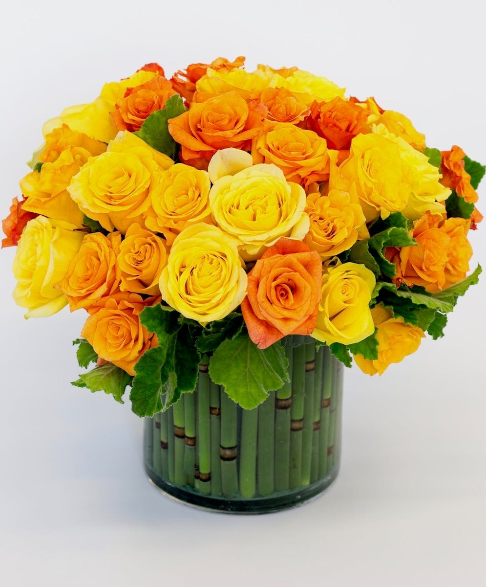 Sunburst Roses Ecuadorian Roses, San Diego Roses