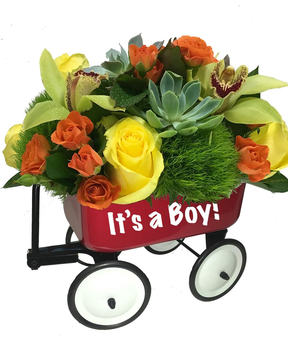 premium-wagon-boy-new-baby-gift-flowers-for-new-baby-boy