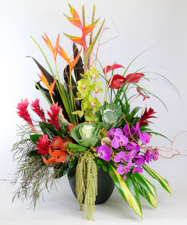 Banksia Protea, Green Orchids, Purple Orchids