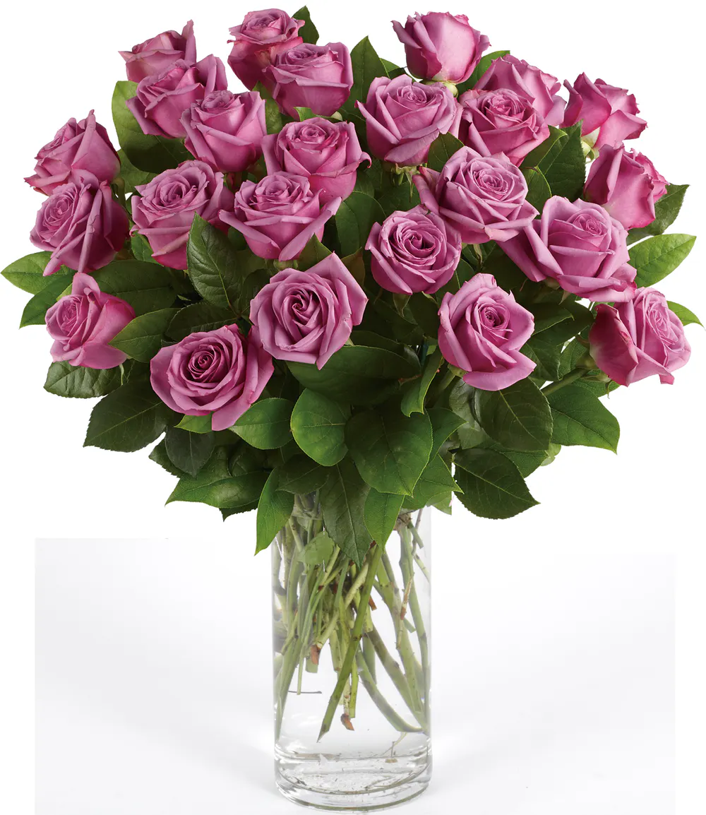 Lavender Roses Lavender Roses San Diego, Lavender Rose Arrangements