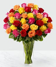 Feel the Love - Multicolored Roses