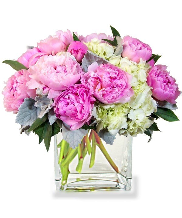 Peonie Pleasure Pink Peonies, Allen's Flowers, San Diego Florist