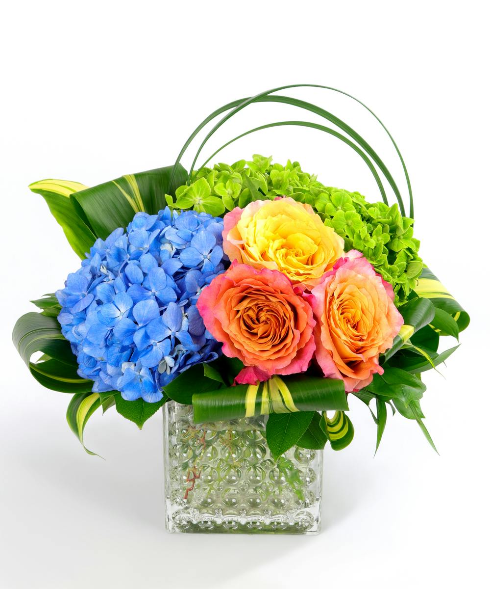 San Diego Bay Allen's Flowers