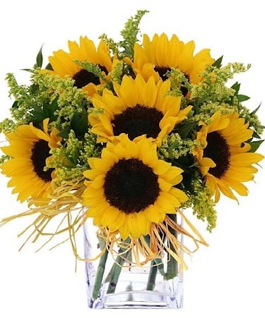 Sunflower Simplicity Yellow Sunflowers Allen S Flowers San Diego