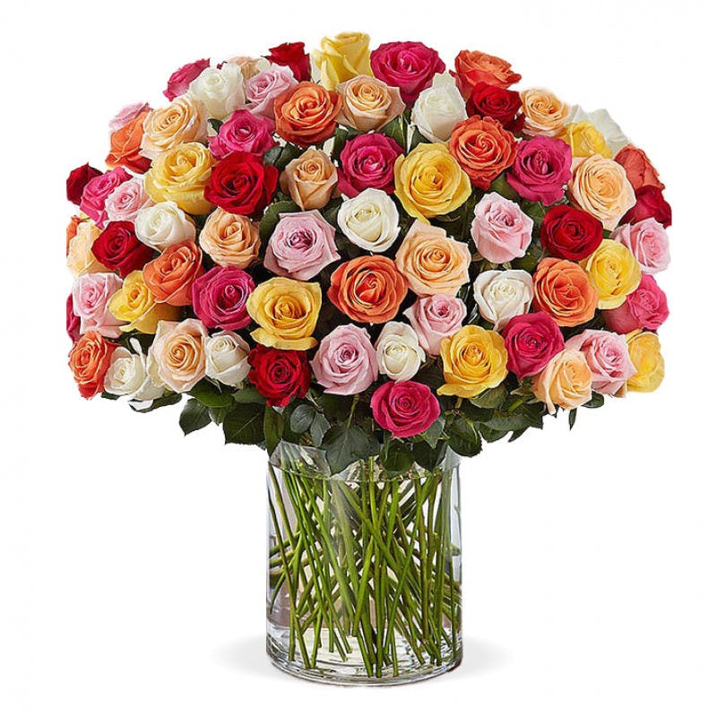 San Diego Roses, San Diego CA Roses, San Diego California Roses