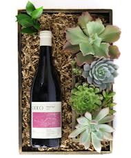 Wine & Succulents - Lioco Pinot