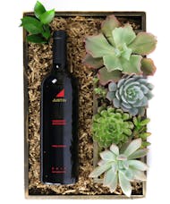 Wine & Succulents - Justin Cabernet