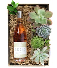 Wine & Succulents - Lioco Rosé