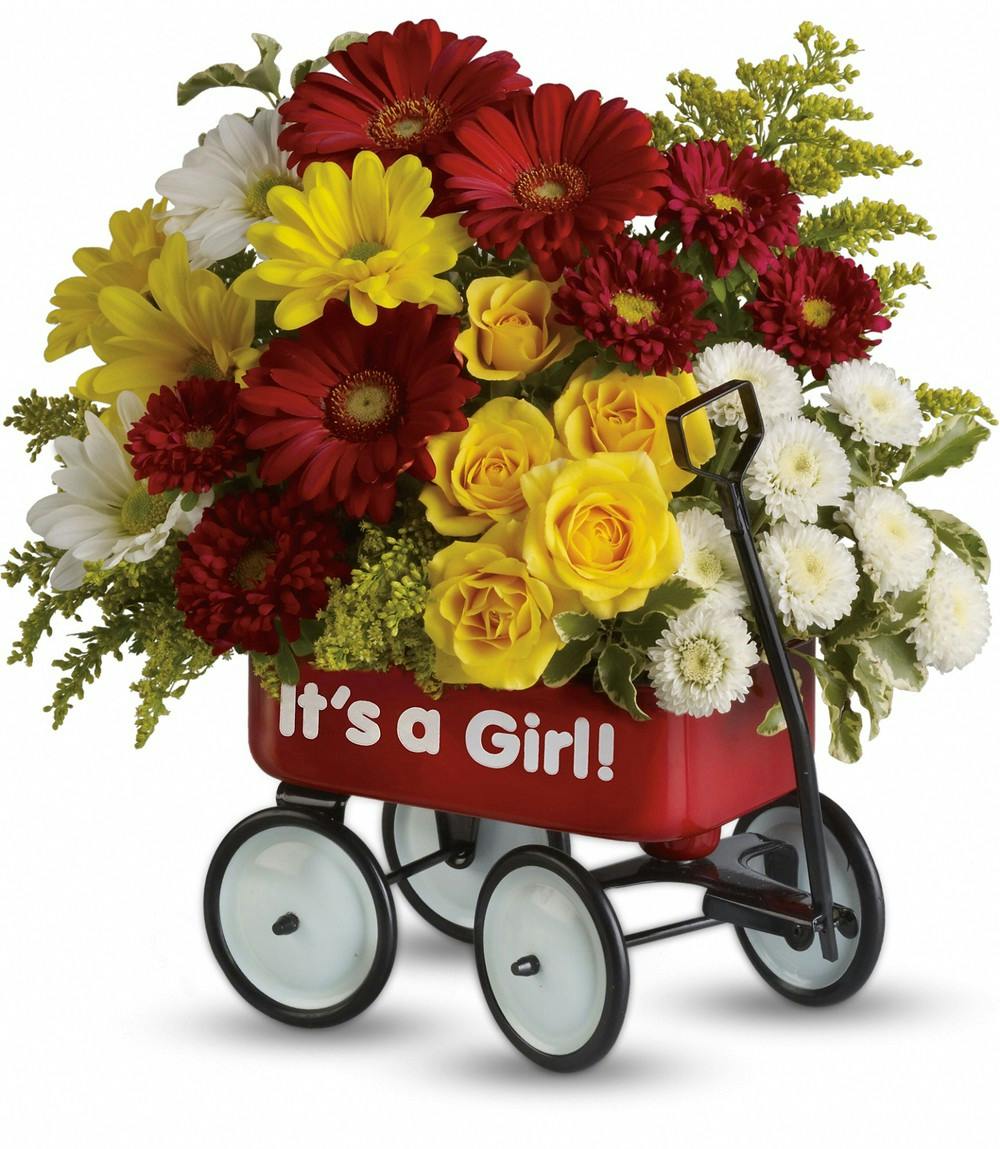 gerber baby flowers