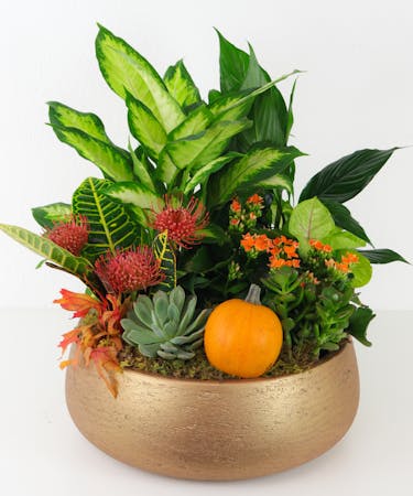Harvest Garden Planter