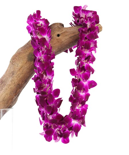 Graduation Flowers & Hawaiian Leis