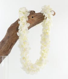 White Orchid Lei