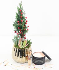 Mini Cypress Garden + Candle Set