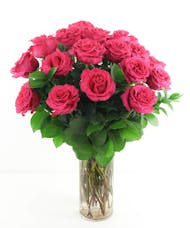 Hot Pink Ecuadorian Garden Roses - Two Dozen