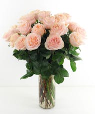 Princess Crown Soft Peach Ecuadorian Garden Roses - Two Dozen