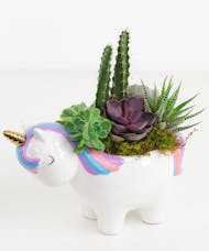 Unicorn Succulent Garden