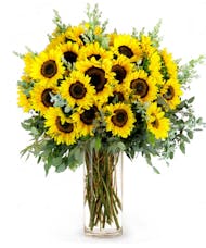 WOW! 50 Sunflowers Arranged!