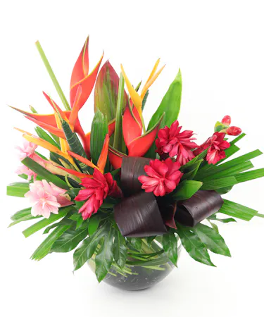 Tropical flowers, Cymbidium Orchids, Heliconia, Parakeets